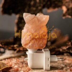 Éjszakai fény-ananász