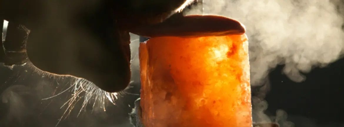 nyalósó_blog cover